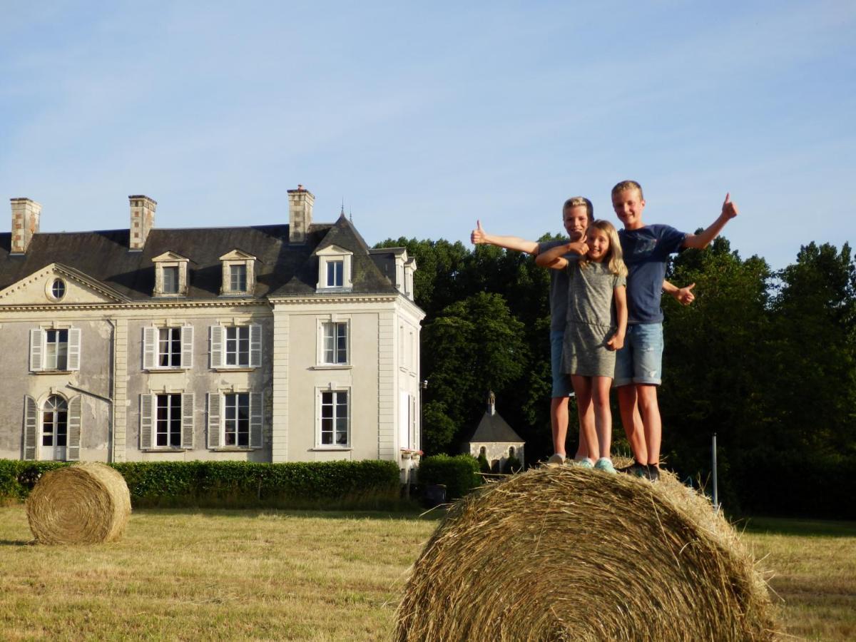 Chateau La Mothaye - Self Catering Apartments With Pool In The Loire Valley Les Bois-d'Anjou Exterior foto