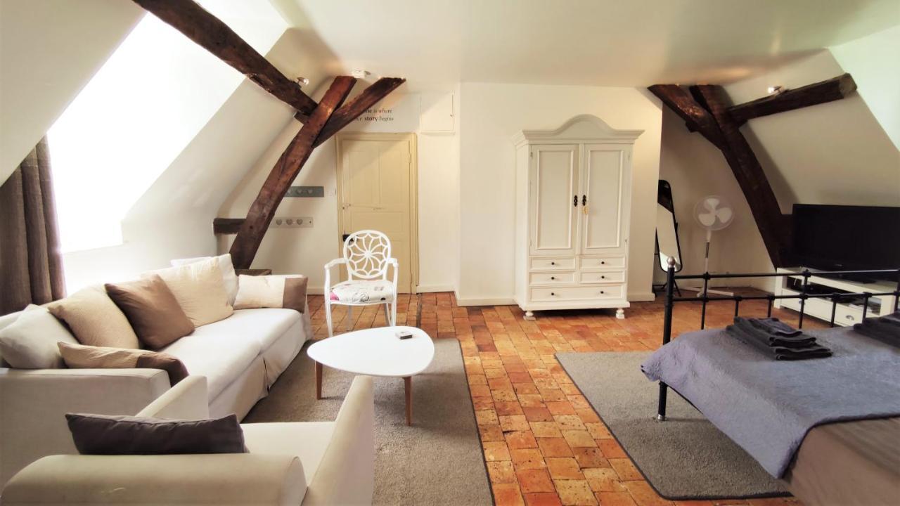 Chateau La Mothaye - Self Catering Apartments With Pool In The Loire Valley Les Bois-d'Anjou Exterior foto